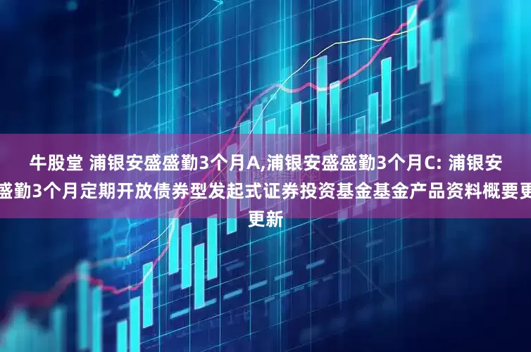 牛股堂 浦银安盛盛勤3个月A,浦银安盛盛勤3个月C: 浦银安盛盛勤3个月定期开放债券型发起式证券投资基金基金产品资料概要更新