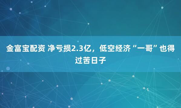 金富宝配资 净亏损2.3亿，低空经济“一哥”也得过苦日子
