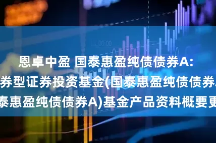 恩卓中盈 国泰惠盈纯债债券A: 国泰惠盈纯债债券型证券投资基金(国泰惠盈纯债债券A)基金产品资料概要更新