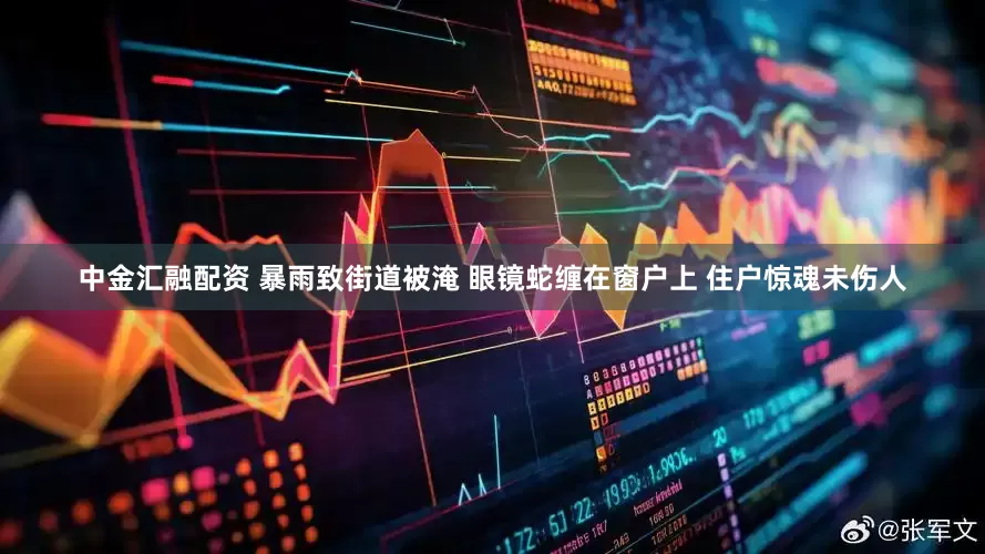 中金汇融配资 暴雨致街道被淹 眼镜蛇缠在窗户上 住户惊魂未伤人
