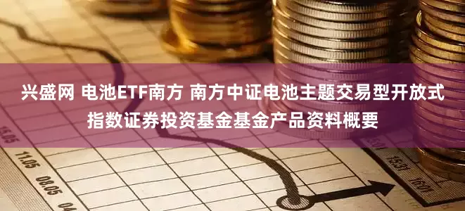 兴盛网 电池ETF南方 南方中证电池主题交易型开放式指数证券投资基金基金产品资料概要