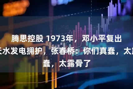 腾思控股 1973年，邓小平复出，马天水发电拥护，张春桥：你们真蠢，太露骨了